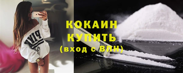 крисы Баксан