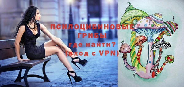 не бодяженный Белокуриха