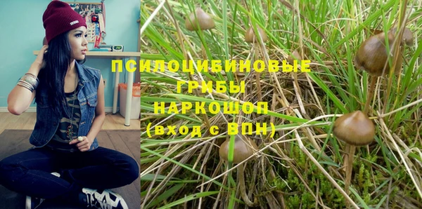 не бодяженный Белокуриха